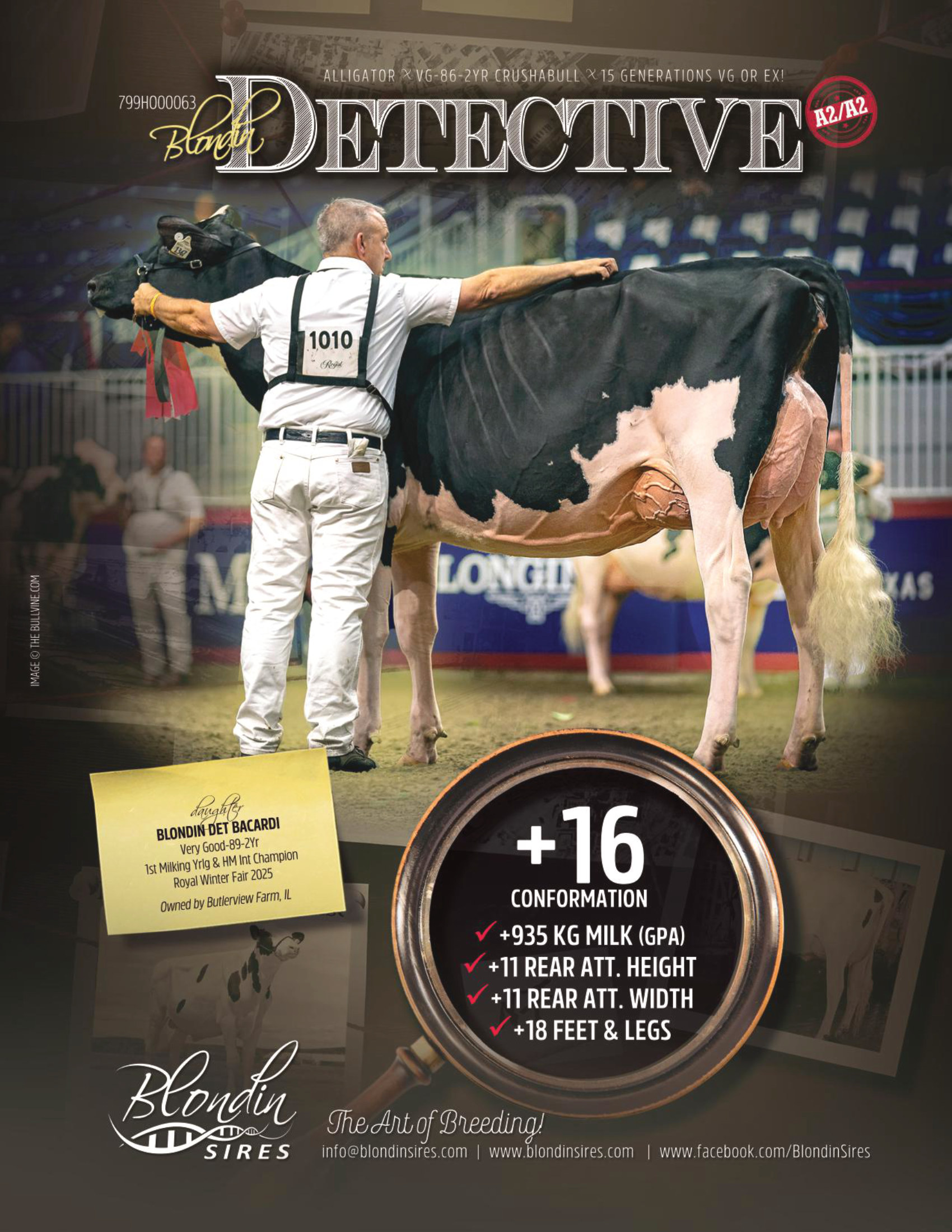 DETECTIVE — 799HO00063